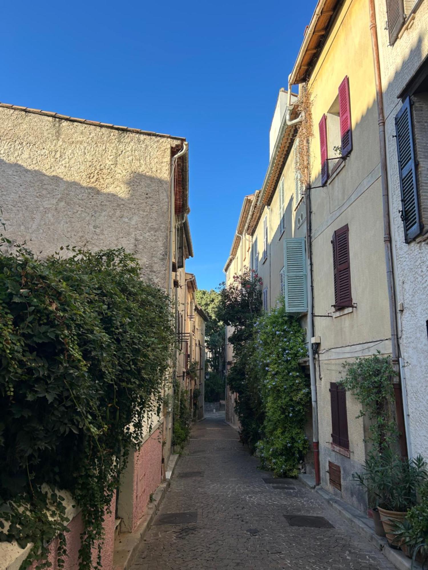 Charmant 3 Pieces Renove Au Coeur Du Vieil Antibes Ngoại thất bức ảnh
